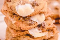 Campfire Chocolate Chip Smores Cookies