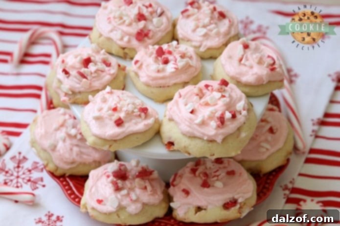 featured 250