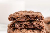 Decadent Double Chocolate Oat Treats