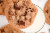 Dreamy Malted Chocolate Chip Delights
