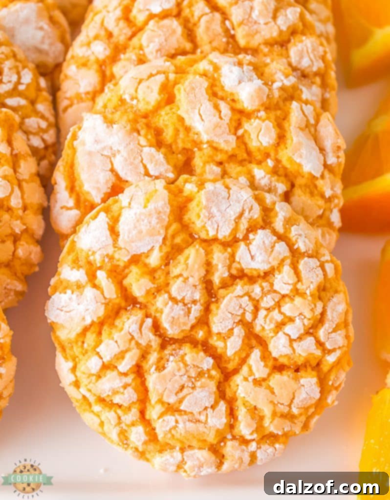 Sun-Kissed Orange Cardamom Delights 2 orange cardamom cake mix cookies