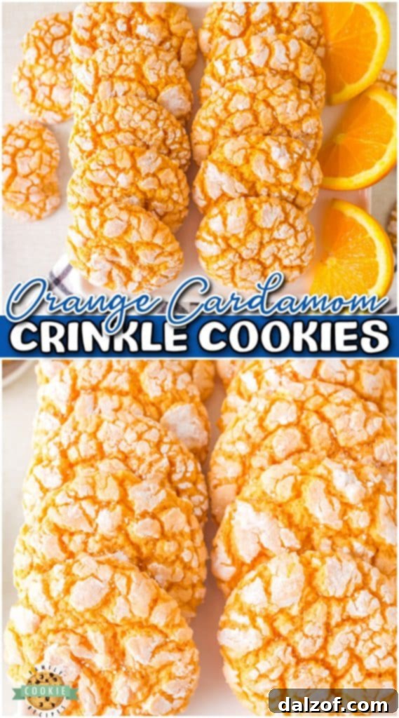 Sun-Kissed Orange Cardamom Delights 10 Orange Cardamom Cookies are soft & chewy, packed with warm citrus flavors! This cardamom cookie is a unique and incredible dessert that's perfect for the holidays!