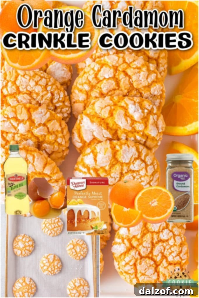 Sun-Kissed Orange Cardamom Delights 6 Orange Cardamom Cookies are soft & chewy, packed with warm citrus flavors! This cardamom cookie is a unique and incredible dessert that's perfect for the holidays!