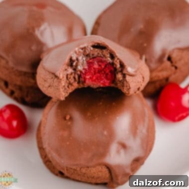 double chocolate cherry cookies