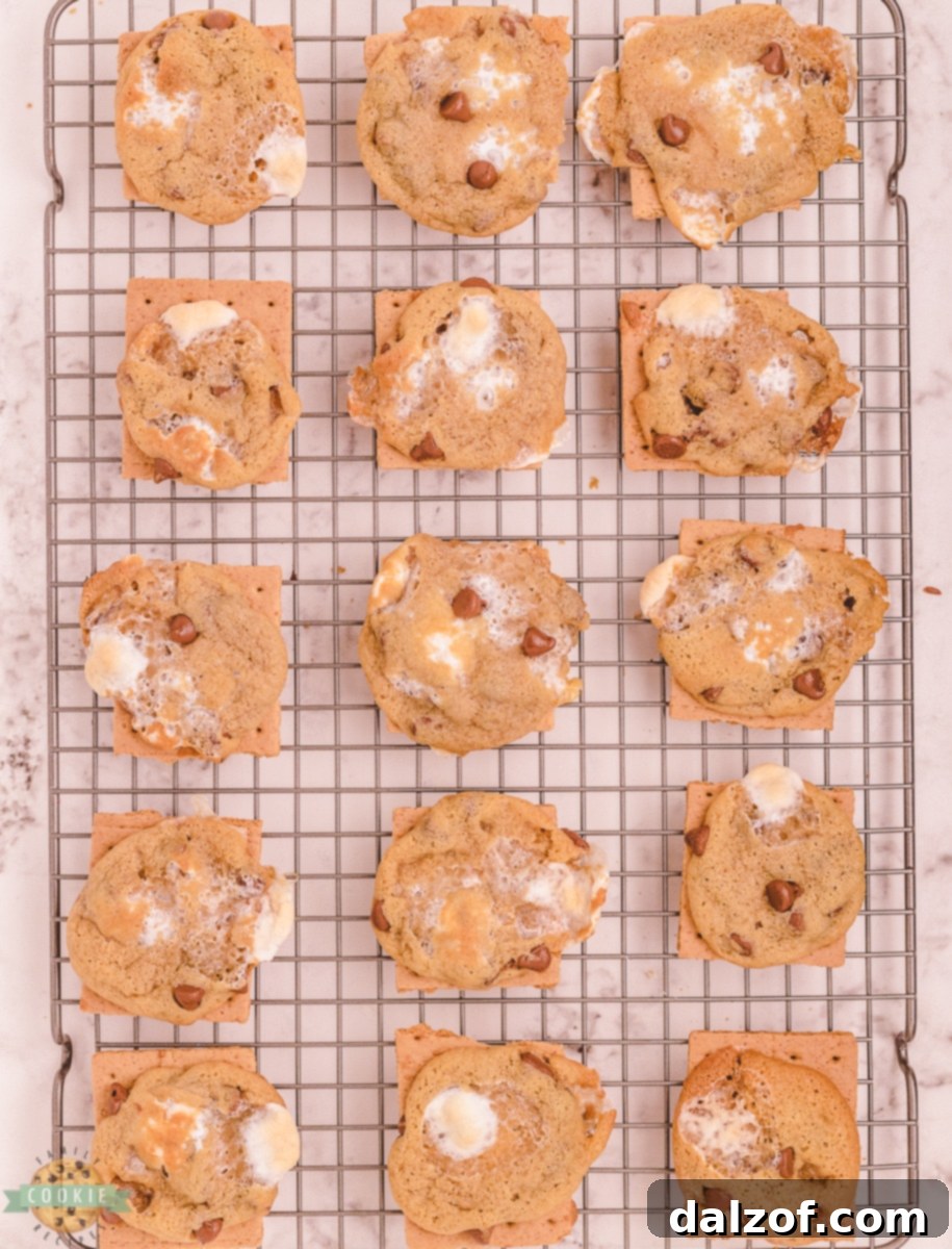 Campfire Chocolate Chip Smores Cookies 11 s'mores chocolate chip cookies on a cooling rack