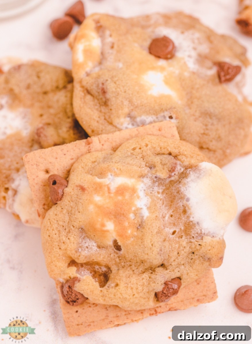 Campfire Chocolate Chip Smores Cookies 5 img 10179 4