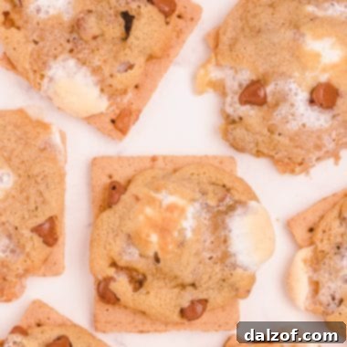 Campfire Chocolate Chip Smores Cookies 9 chocolate chip s'mores cookies on graham crackers