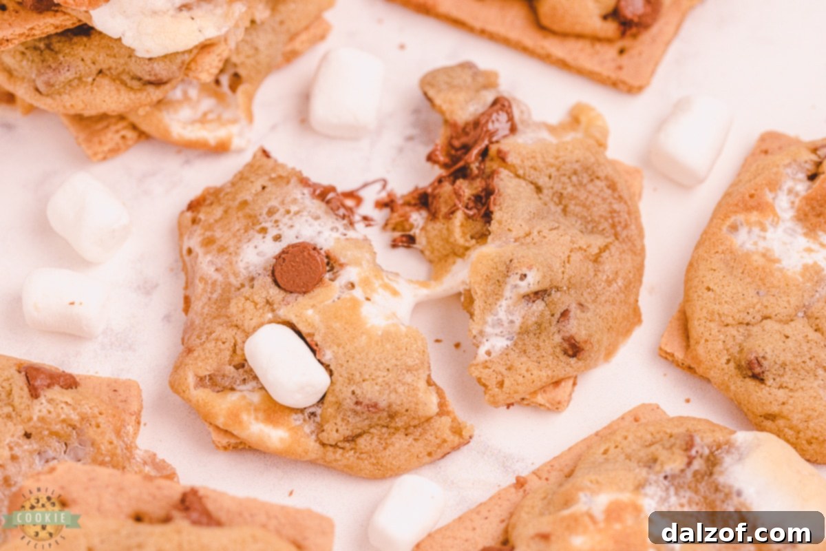 Campfire Chocolate Chip Smores Cookies 10 img 10179 9