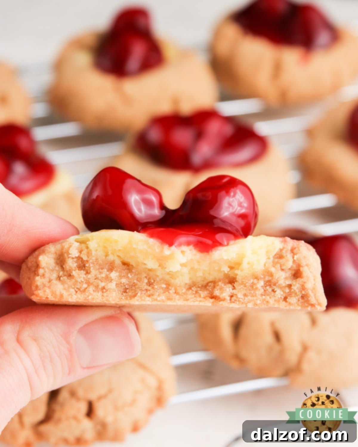 Graham cracker cookie with cheesecake filling and cherries on top
