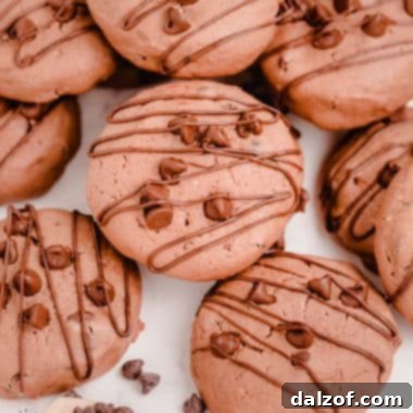 double chocolate cheesecake cookies