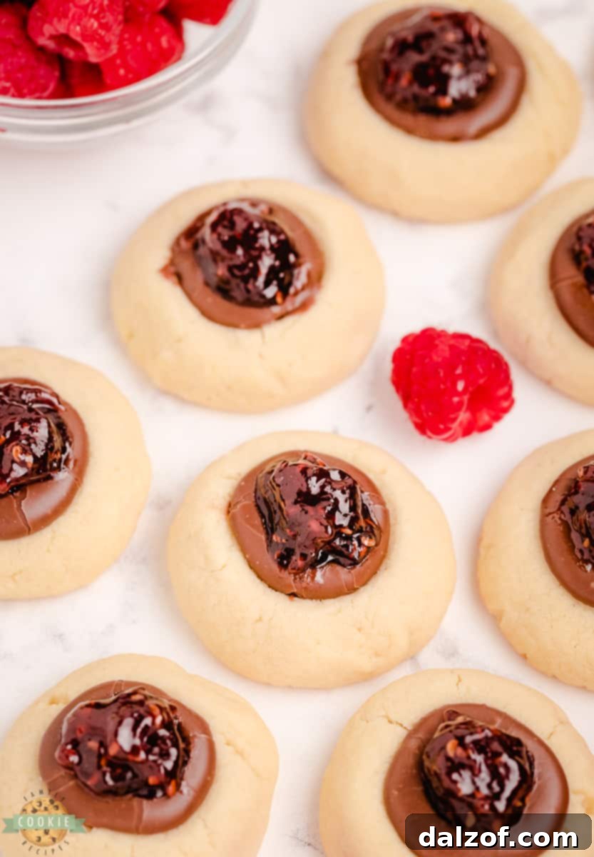 raspberry thumbprints with chocolate, finished and ready to serve