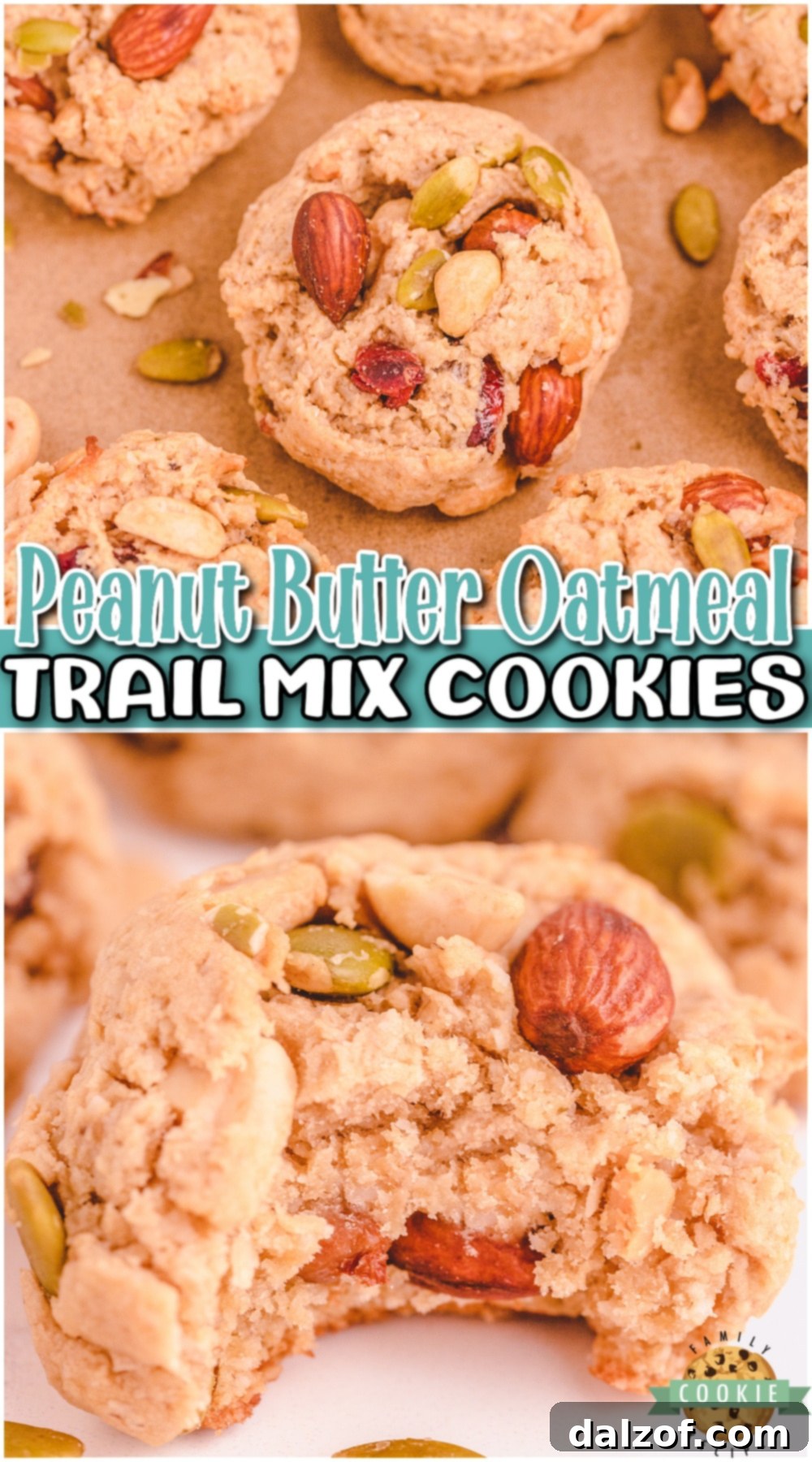 Trail Mix Peanut Butter Cookies are unique, delicious cookies perfect for breakfast or a snack! Trail Mix Cookies made with a variety of nuts, a banana & peanut butter curb your sweet tooth & give a nice energy boost at the same time!