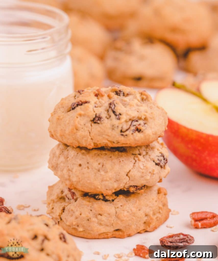 A stack of delicious raisin applesauce oatmeal cookies