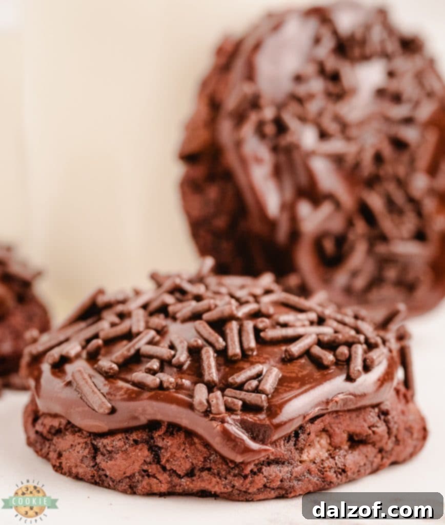 chocolate cookie with milk
