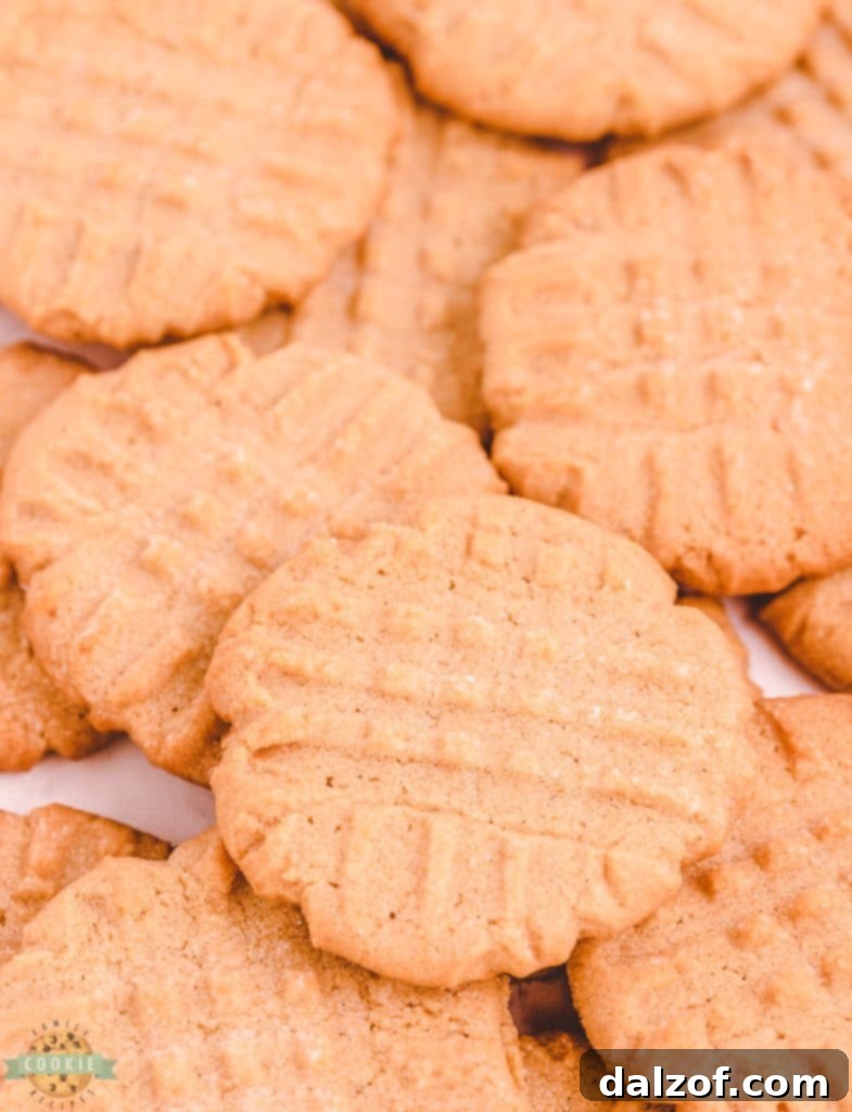 old fashioned peanut butter cookies recipe