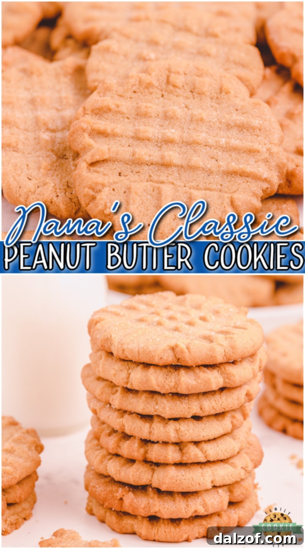 Nothing beats Grandma's peanut butter cookies and this recipe is sure to make you feel nostalgic! Simple old fashioned peanut butter cookies made with classic ingredients like butter, peanut butter, sugar, eggs & flour. 