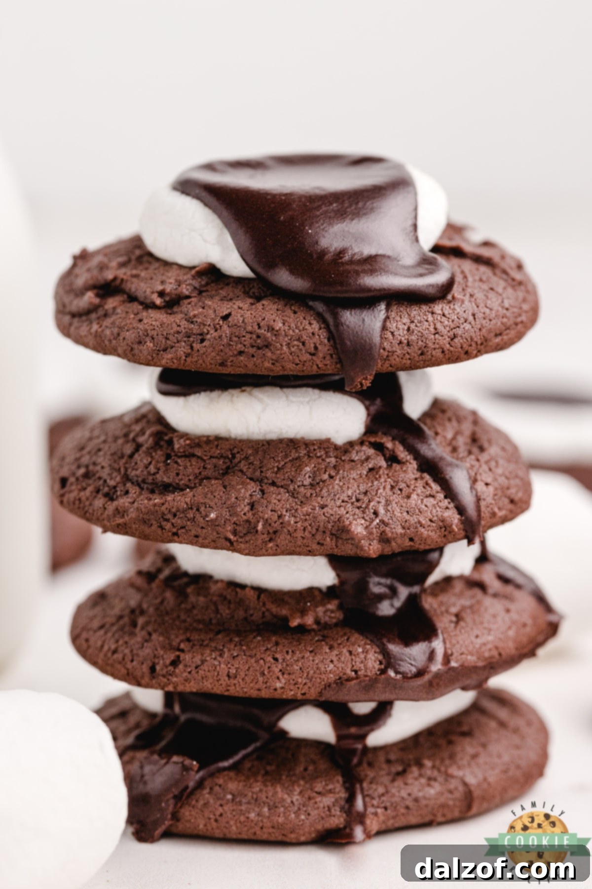 Soft and chewy chocolate cookies featuring a melted marshmallow crown and glossy chocolate frosting