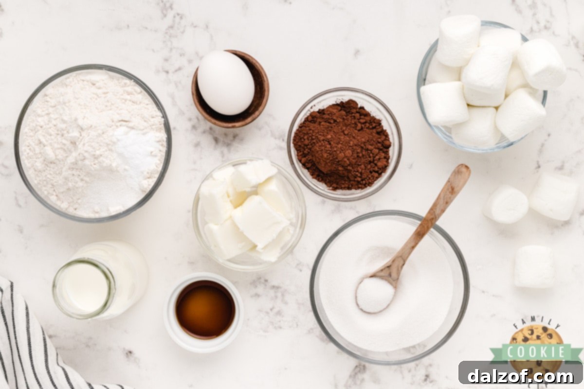 Key ingredients laid out for making delicious Chocolate Marshmallow Cookies