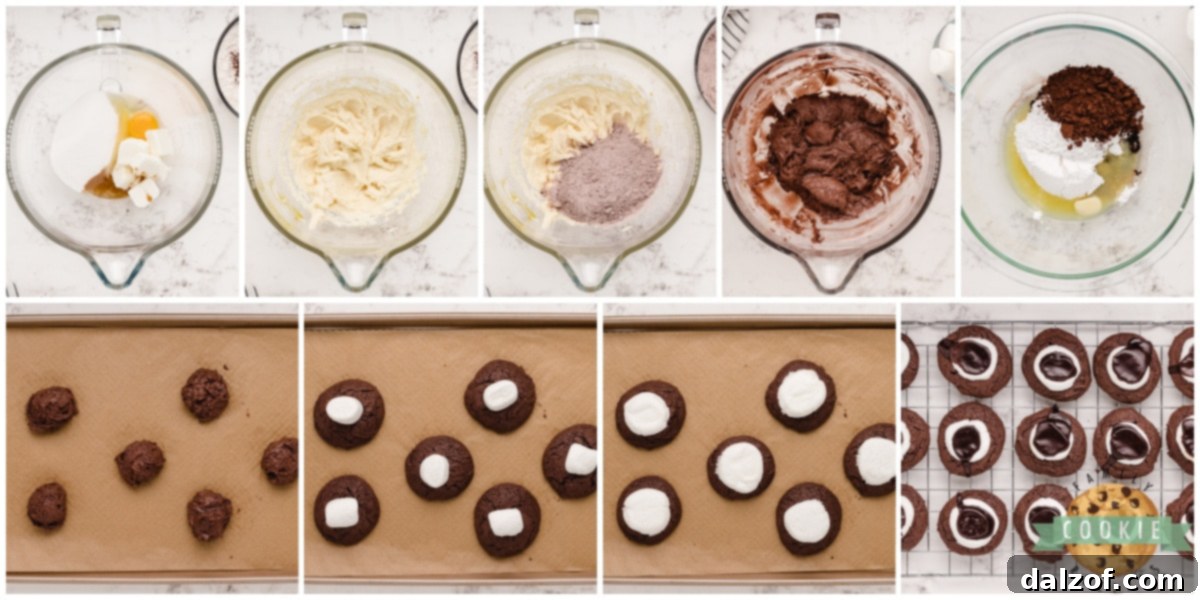 Step-by-step visual guide on preparing Chocolate Marshmallow Cookies