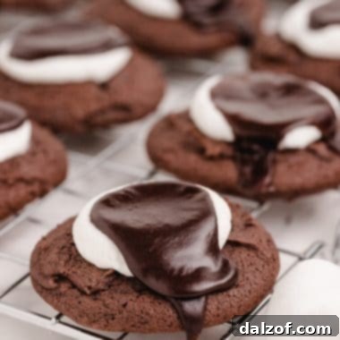 Delicious Chocolate Marshmallow Cookies