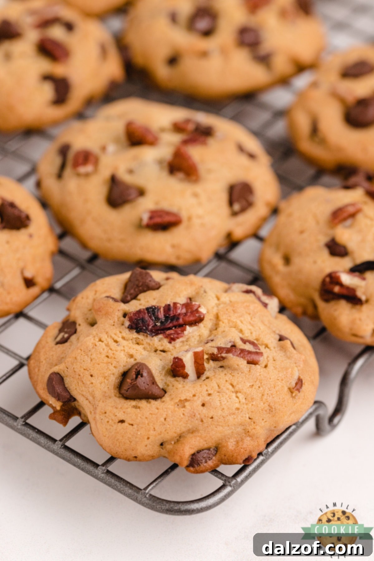 Rich Honey Maple Chocolate Chip Cookies 6 A stack of golden brown Honey Maple Chocolate Chip Cookies, ready to be enjoyed, with visible chocolate chips and pecans.