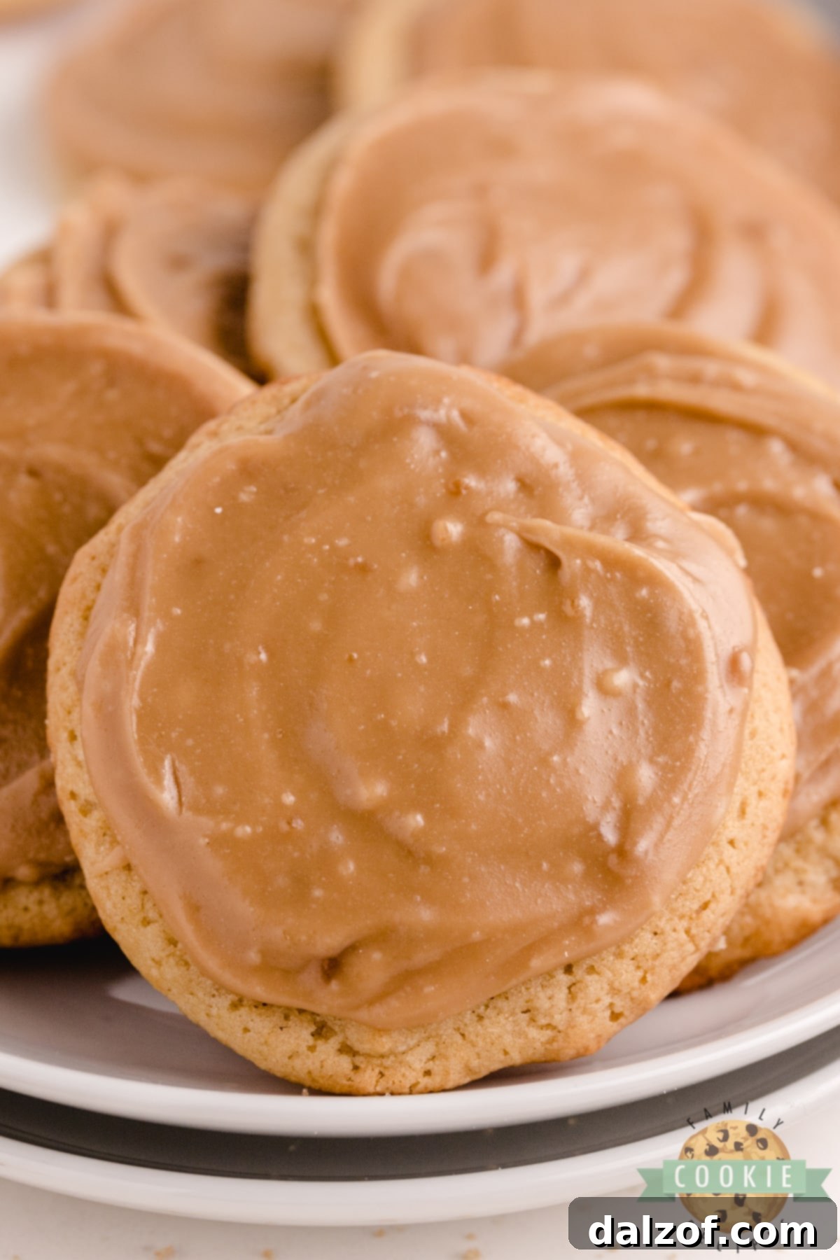Frosted Brown Sugar Cookies with a creamy brown sugar frosting.
