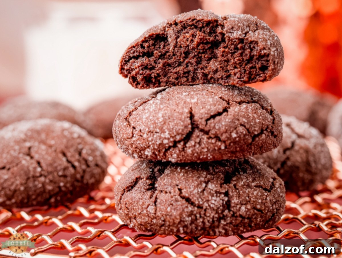 Rich chocolate sugar cookies cooling on a copper rack.