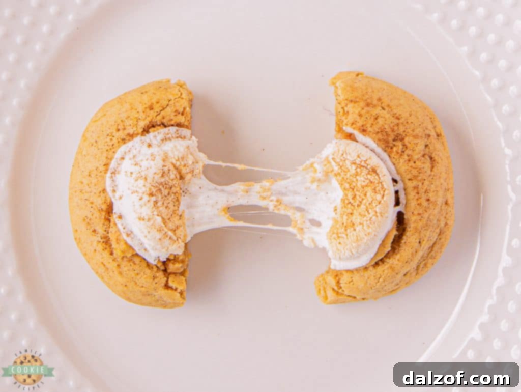 Sweet potato cookie topped with a toasted marshmallow, showcasing its soft texture and golden-brown marshmallow hat.