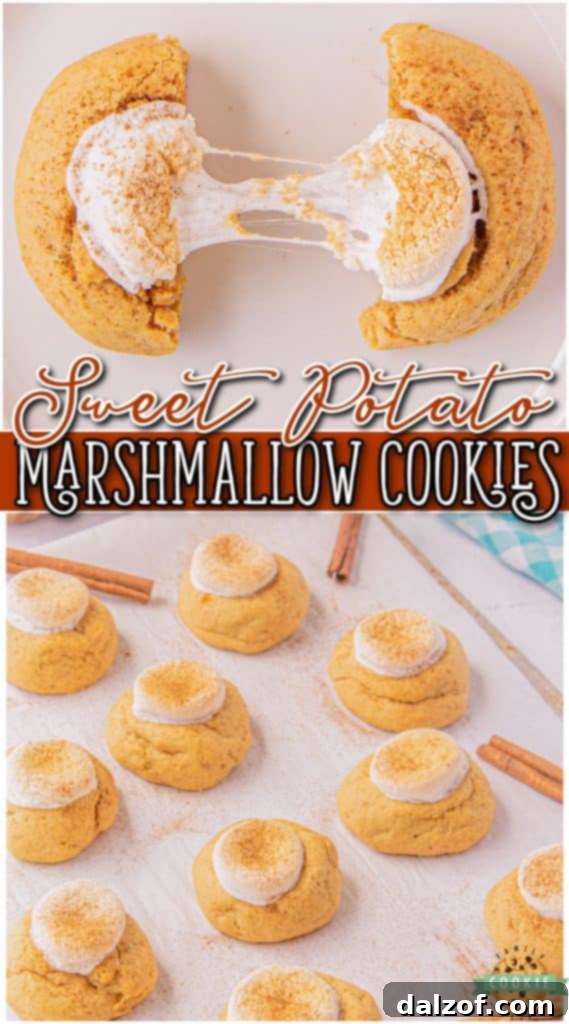 Marshmallow Sweet Potato Cookies are soft, sweet cookies with fabulous fall flavors! Sweet potato cookie recipe that's spiced with cinnamon & topped with a marshmallow!