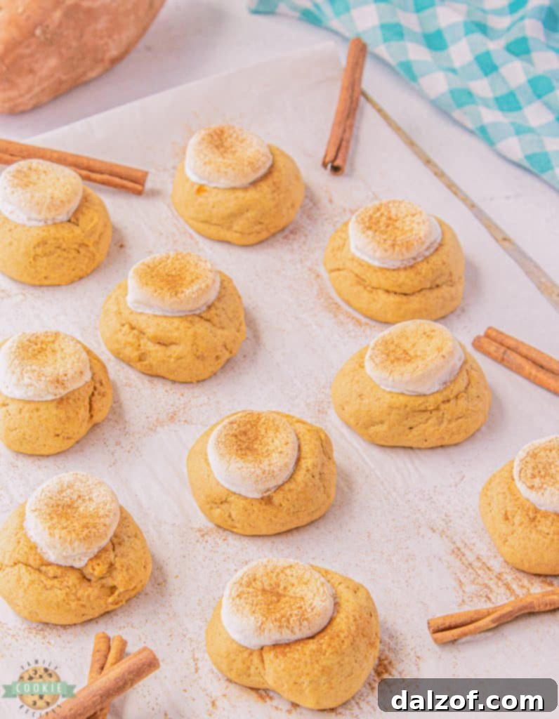 Close-up of freshly baked sweet potato cookies, each topped with a fluffy, toasted marshmallow.
