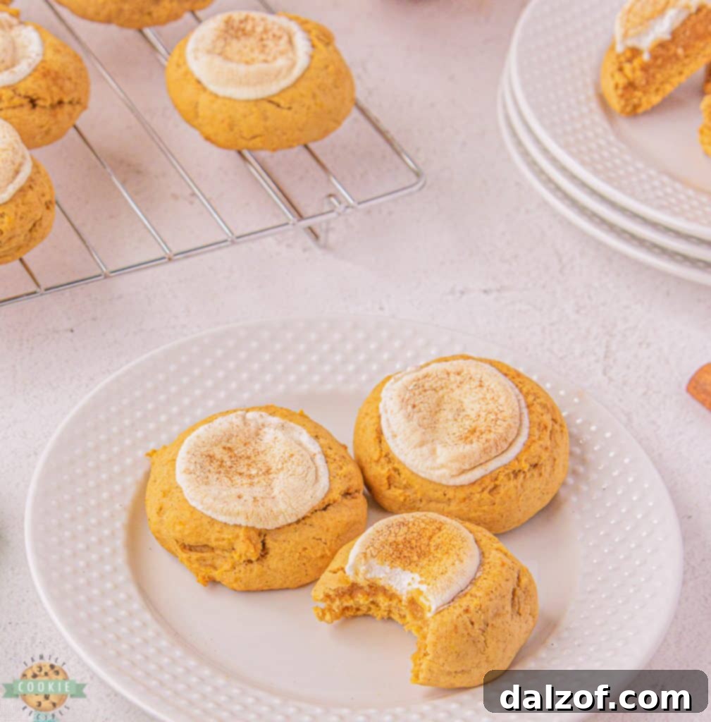 A plate of golden sweet potato cookies, each with a toasted marshmallow on top, ready to be enjoyed.
