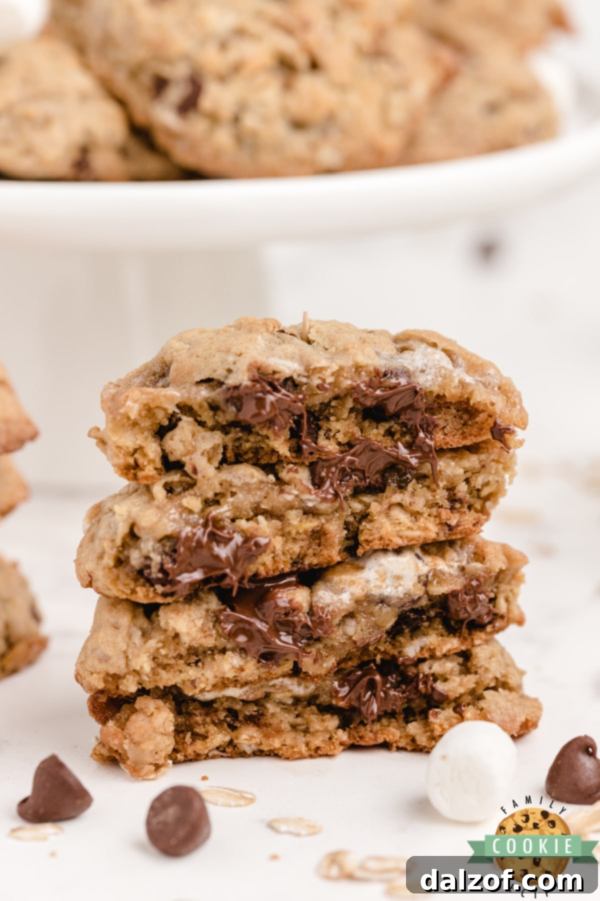 Soft and chewy oatmeal cookies with marshmallows and chocolate chips