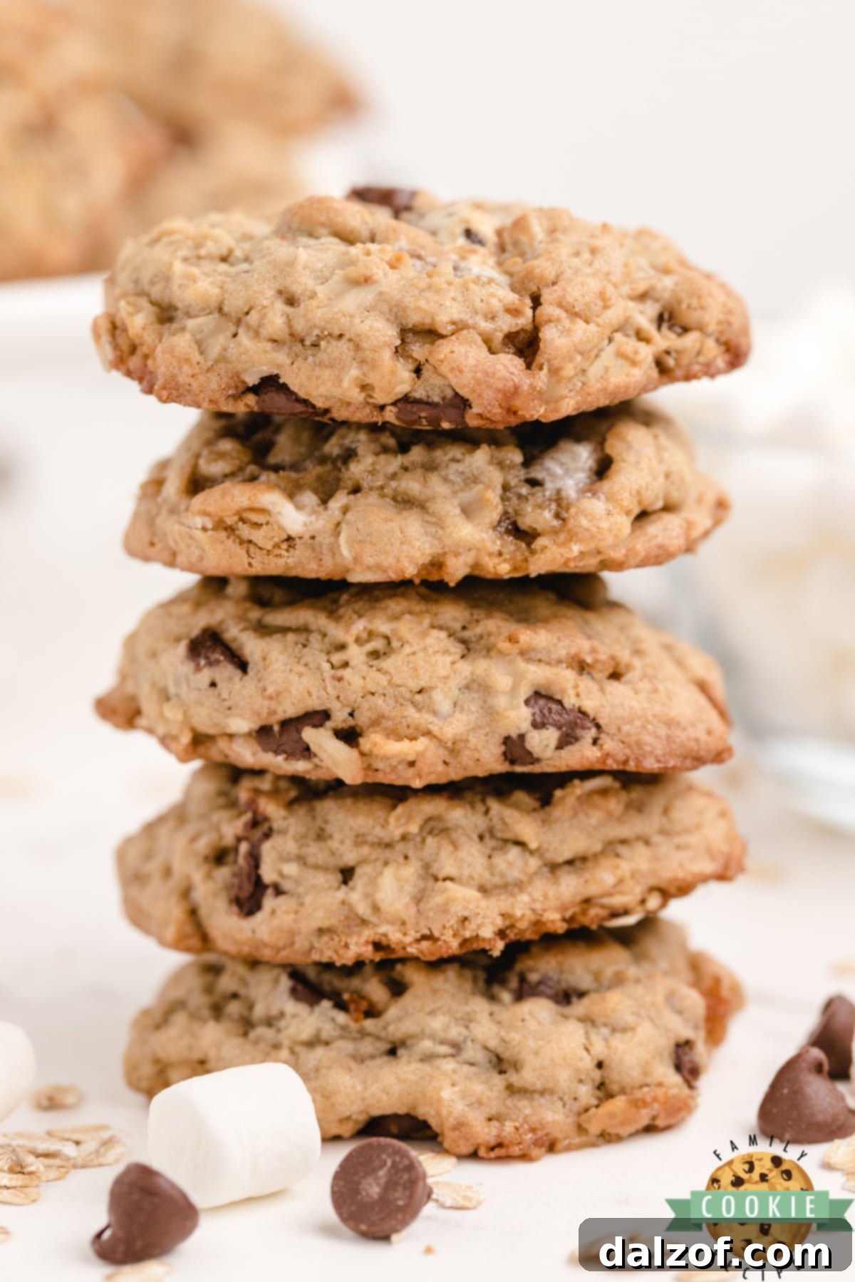 S'mores Oatmeal Cookies are full of oats, chocolate chips and mini marshmallows. Soft, chewy oatmeal cookies that taste just like s'mores! 
