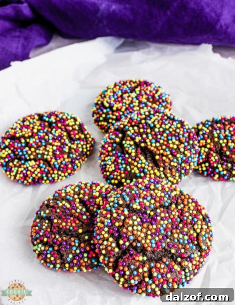 Chocolate cookies generously rolled in vibrant colorful sprinkles, ready to be enjoyed as a delightful dessert