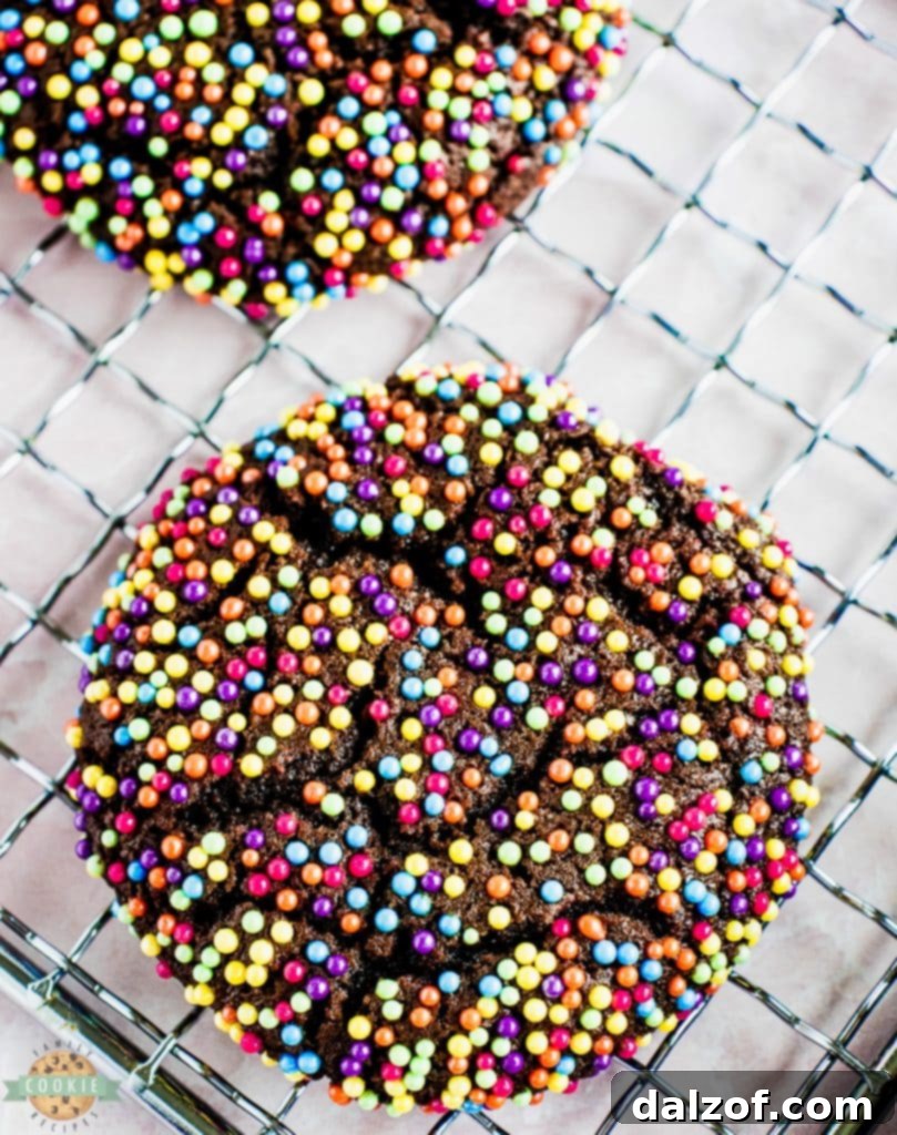 A freshly baked batch of chocolate sprinkle cookies cooling on a wire rack, ready to be stored