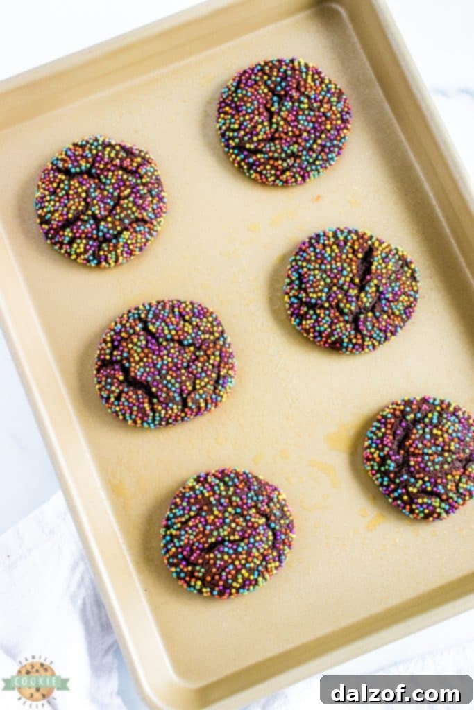 Freshly rolled chocolate sprinkle cookies ready for baking, arranged on a prepared baking sheet