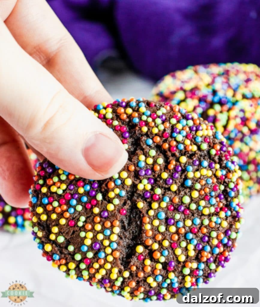A dozen perfectly baked chocolate sprinkle cookies cooling on a wire rack after being removed from the oven