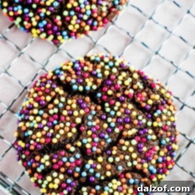 Chocolate Sprinkle Cookies on a cooling rack, showcasing their vibrant appearance and delicious potential