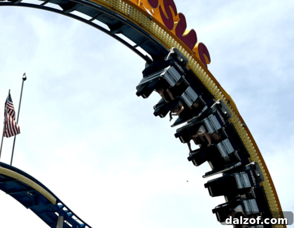 child enjoying roller coaster