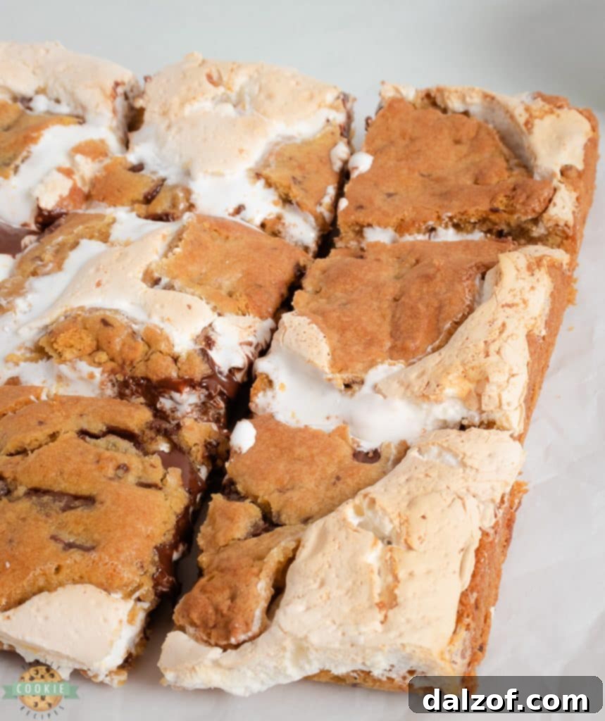 chocolate chip cookie bars with marshmallow