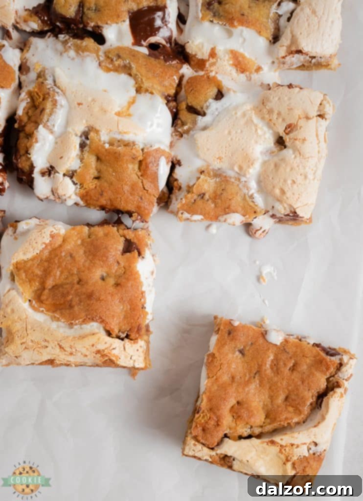 perfectly baked smores bars