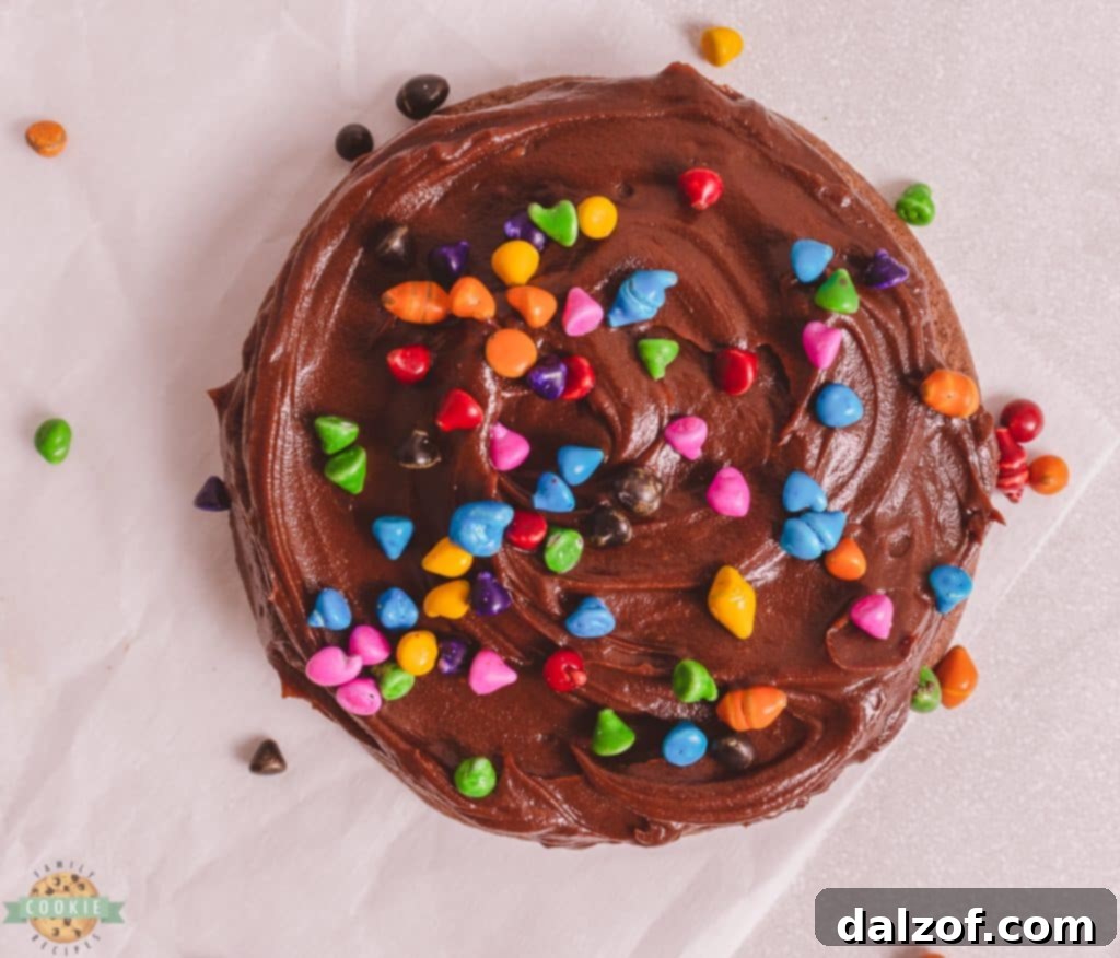 Close-up of a thick fudgy jumbo chocolate brownie cookie with sprinkles