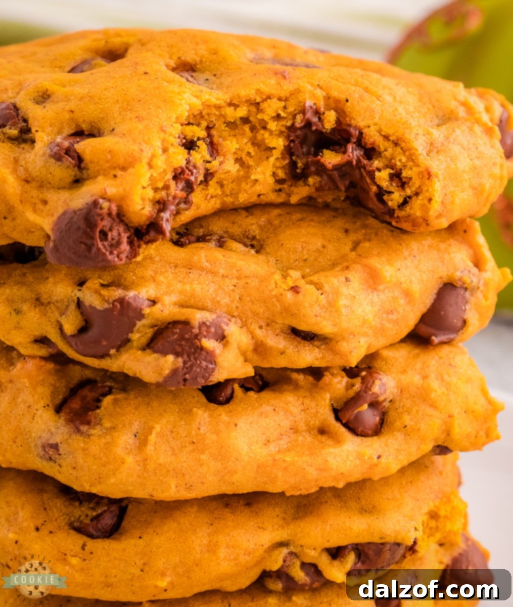 Close-up of freshly baked pumpkin cookies with chocolate chips on a cooling rack, highlighting their soft texture and rich color.