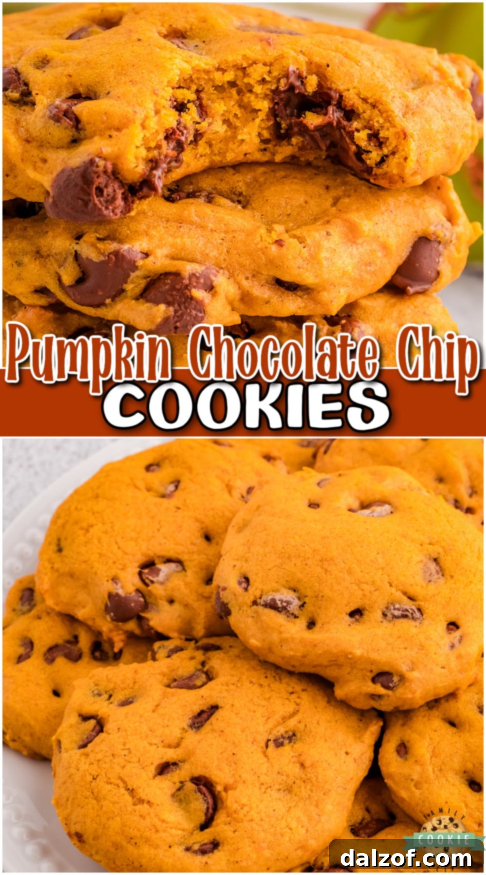 A vertical image displaying an enticing array of Spiced Pumpkin Chocolate Chip Cookies, made with pumpkin and a fantastic blend of Fall spices, promising a soft and pillowy texture from classic ingredients.