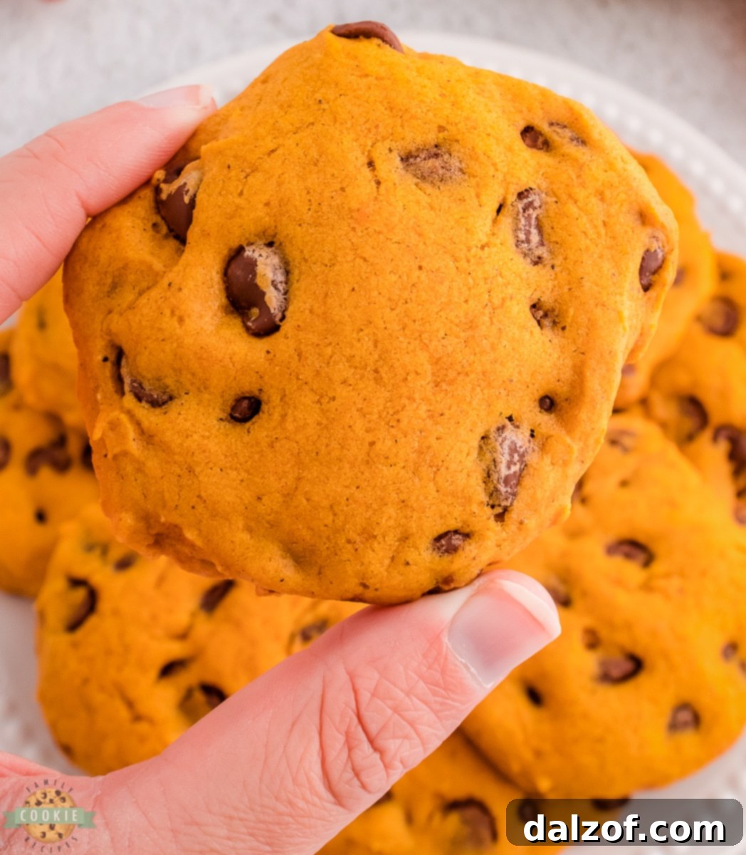 A hand holding up a single, perfectly baked spiced pumpkin chocolate chip cookie, showcasing its golden-brown edges and visible chocolate chips.