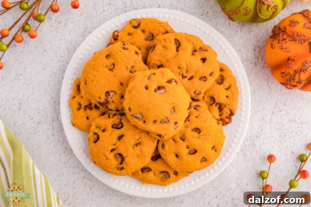A close-up of a plate of warm pumpkin cookies with chocolate chips, ready to be served, emphasizing their inviting autumn appeal.
