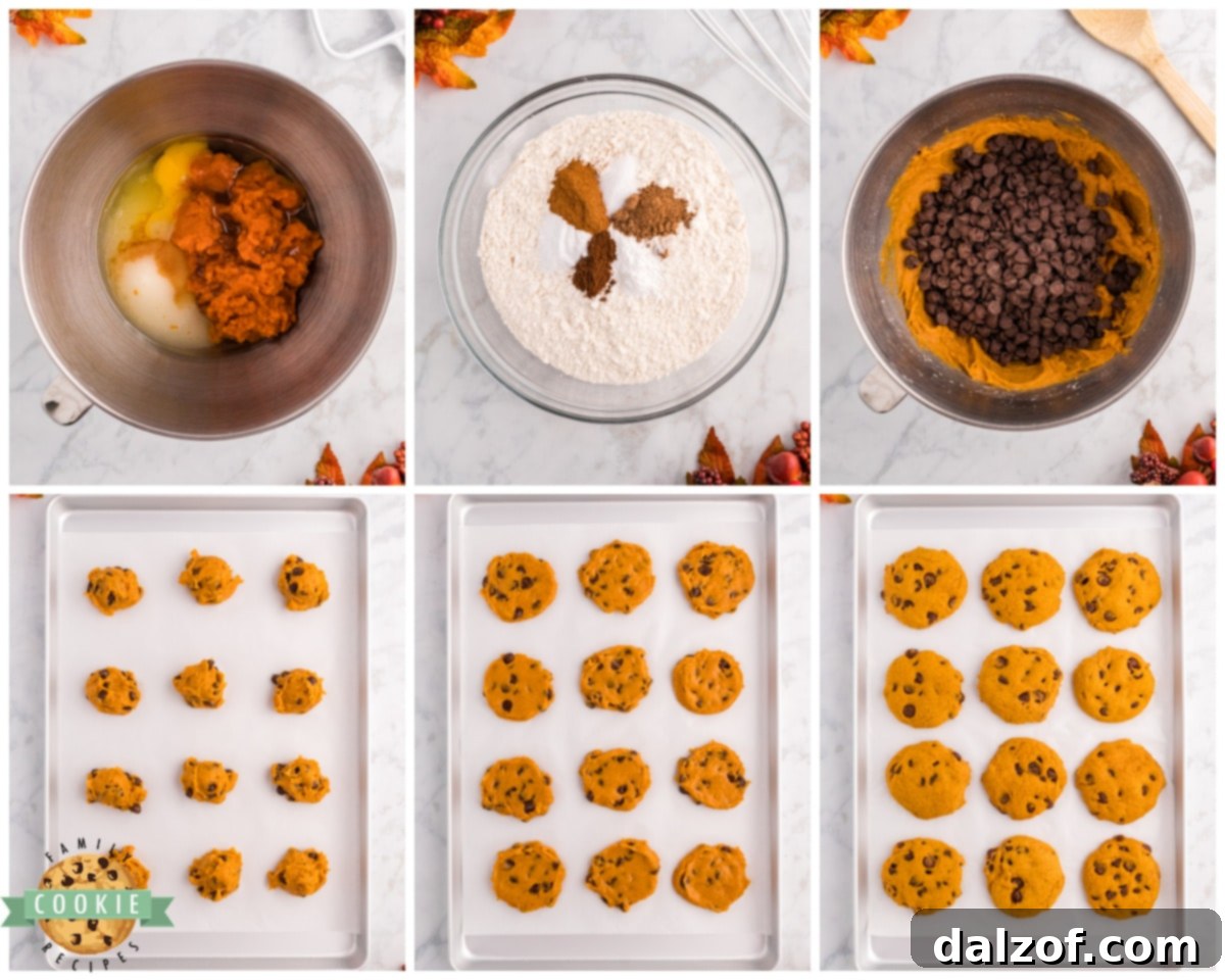A bowl of cookie dough being mixed, with pumpkin puree and chocolate chips visible, showing the process of making pumpkin chocolate chip cookies.