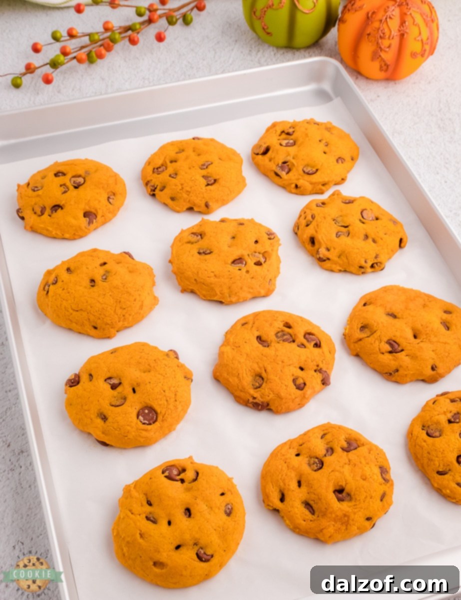 A fresh batch of baked pumpkin chocolate chip cookies on a wire cooling rack, steaming slightly, indicating their fresh-from-the-oven state.