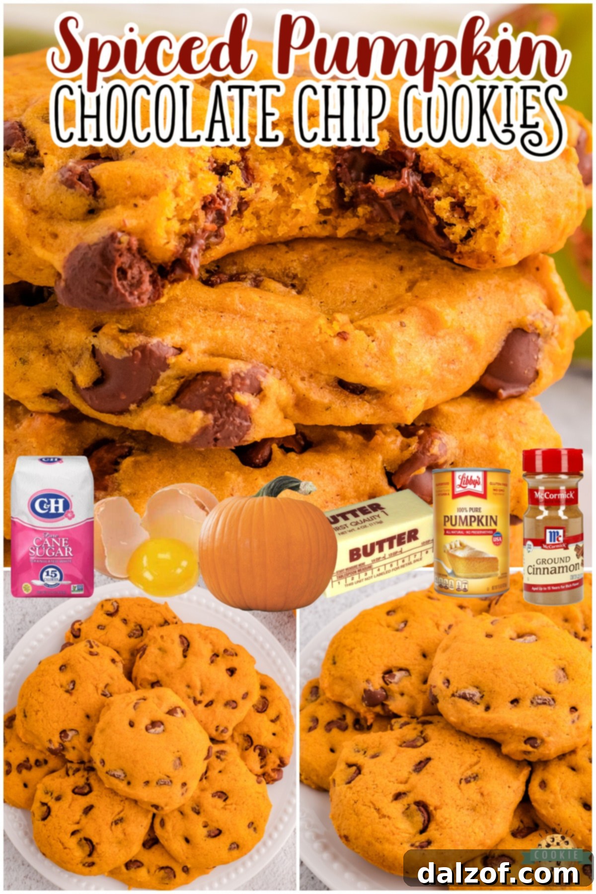 Spiced Pumpkin Chocolate Chip Cookies are a delicious fusion of pumpkin and a wonderful blend of Fall spices! This recipe delivers soft, pillowy cookies made with classic ingredients.