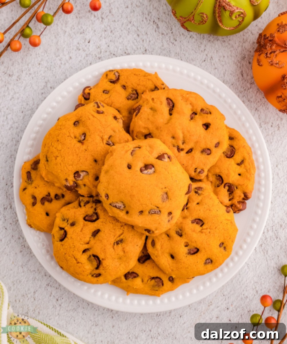 A collection of homemade spiced pumpkin chocolate chip cookies displayed artfully, emphasizing their rustic charm and deliciousness.